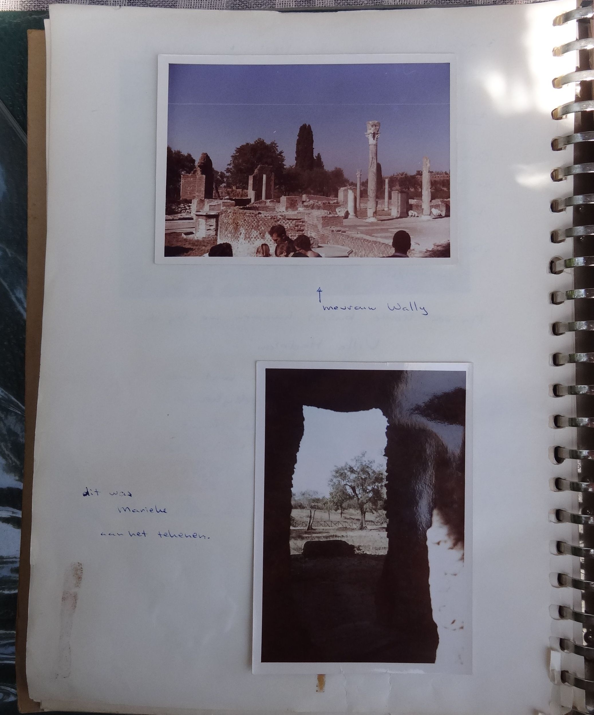 GYMNASIUM ERASMIANUM - ROMA