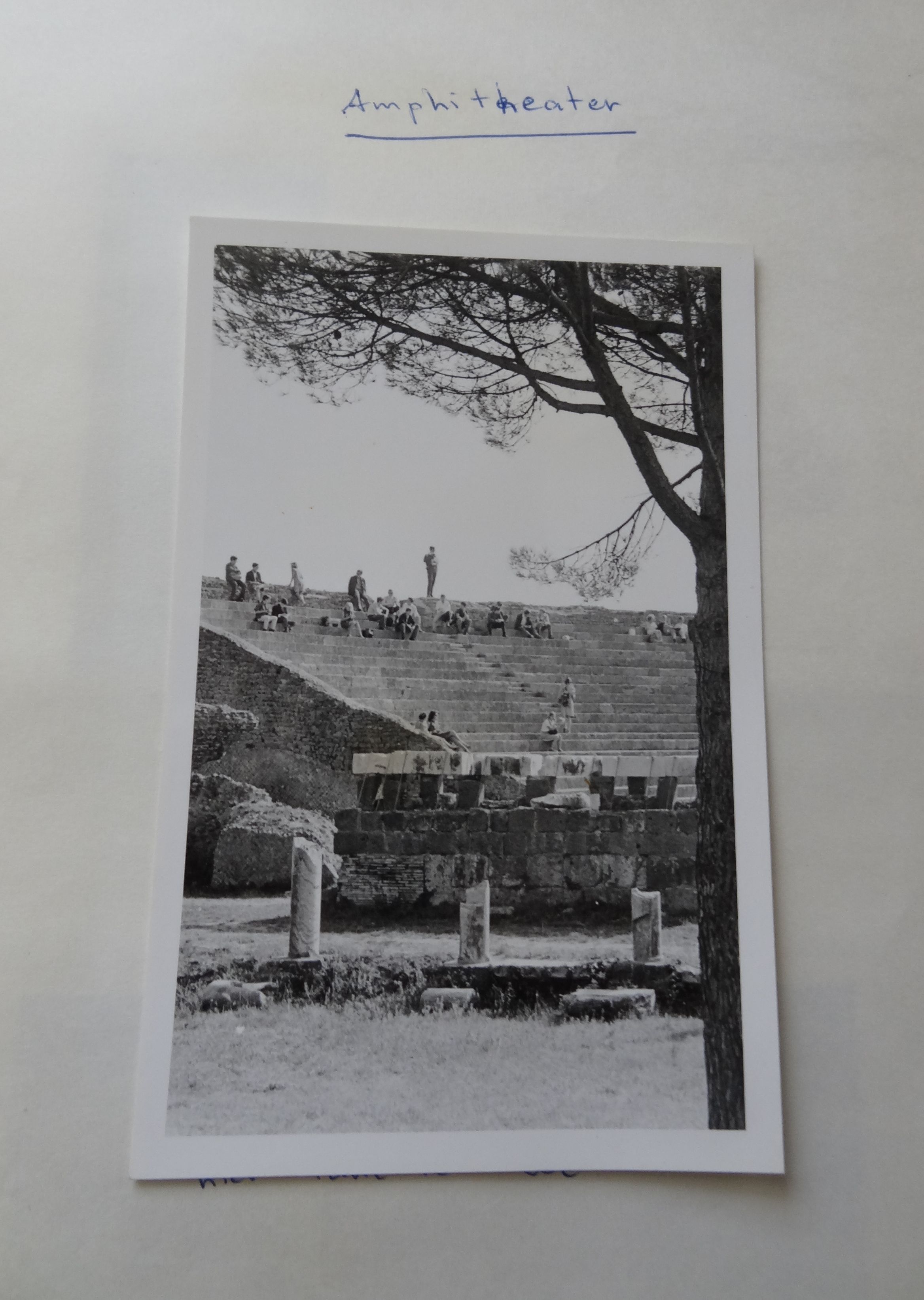 GYMNASIUM ERASMIANUM - ROMA