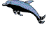 dolphins